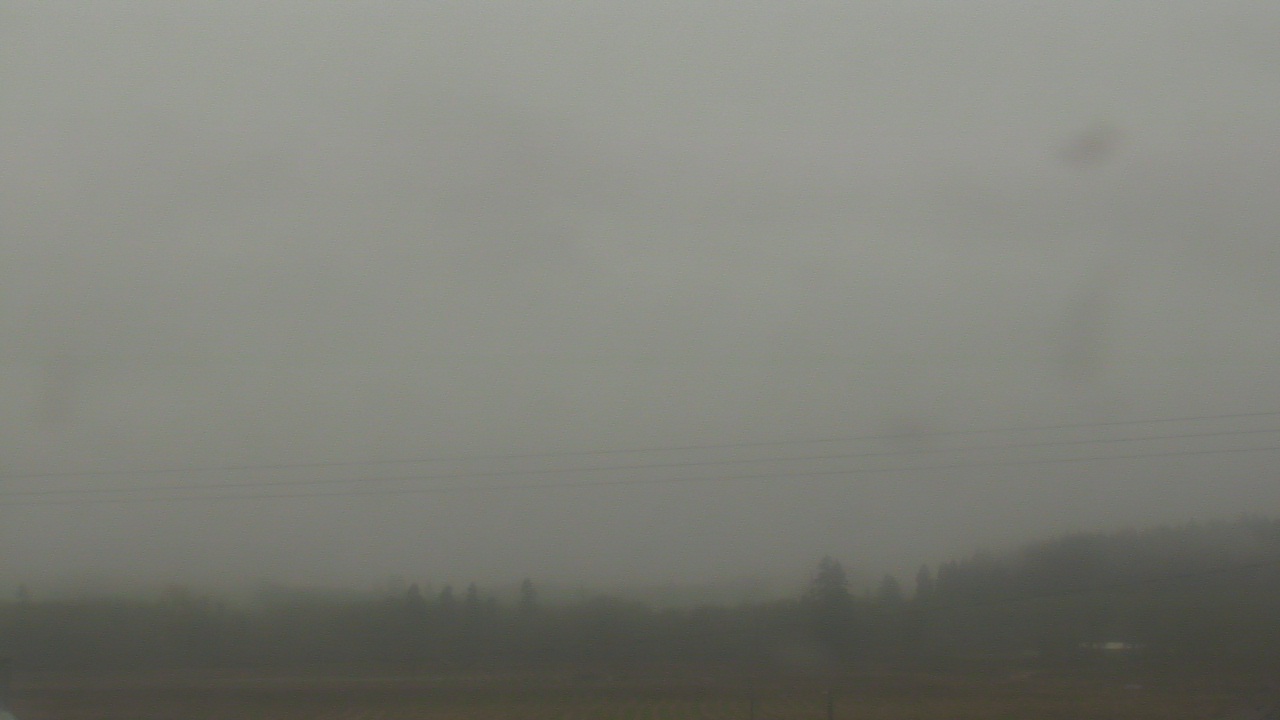 Thumbnail for current weather camera view from City of Banks Public Library in Banks, Oregon