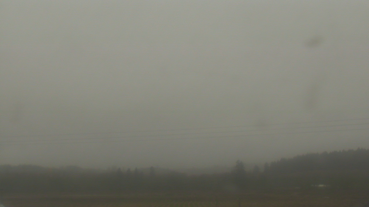 Thumbnail for current weather camera view from City of Banks Public Library in Banks, Oregon