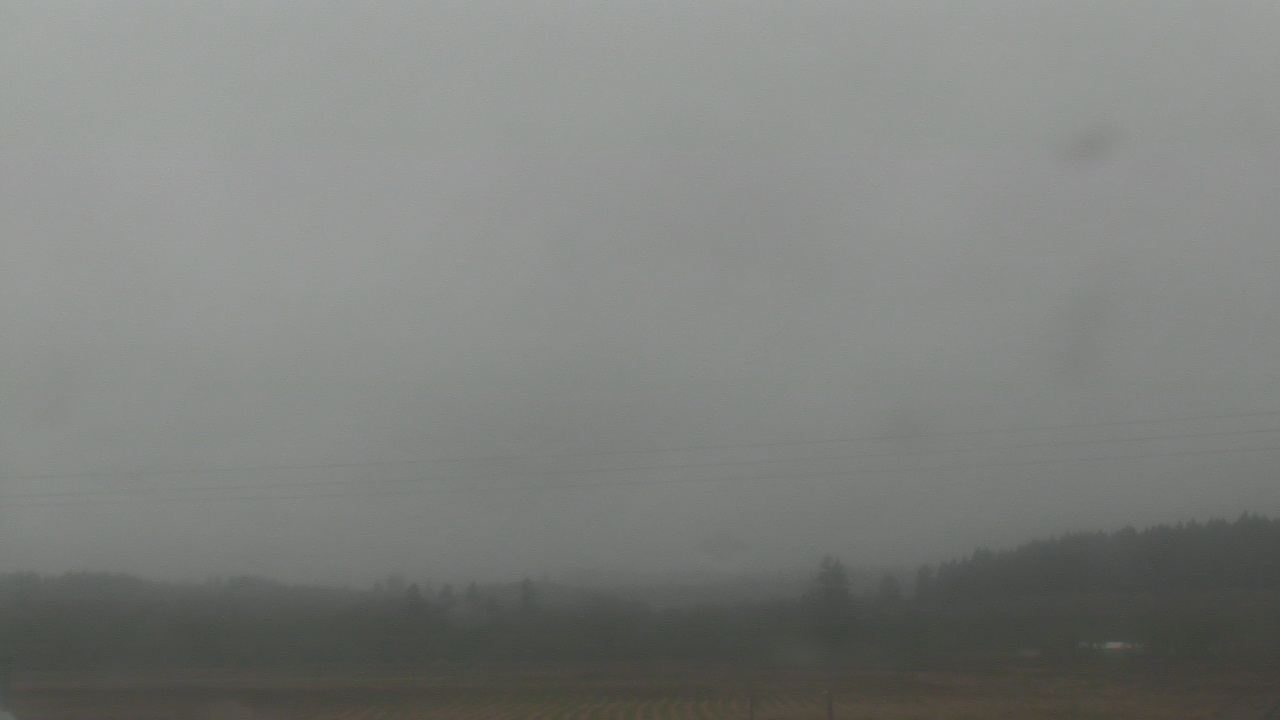 Thumbnail for current weather camera view from City of Banks Public Library in Banks, Oregon