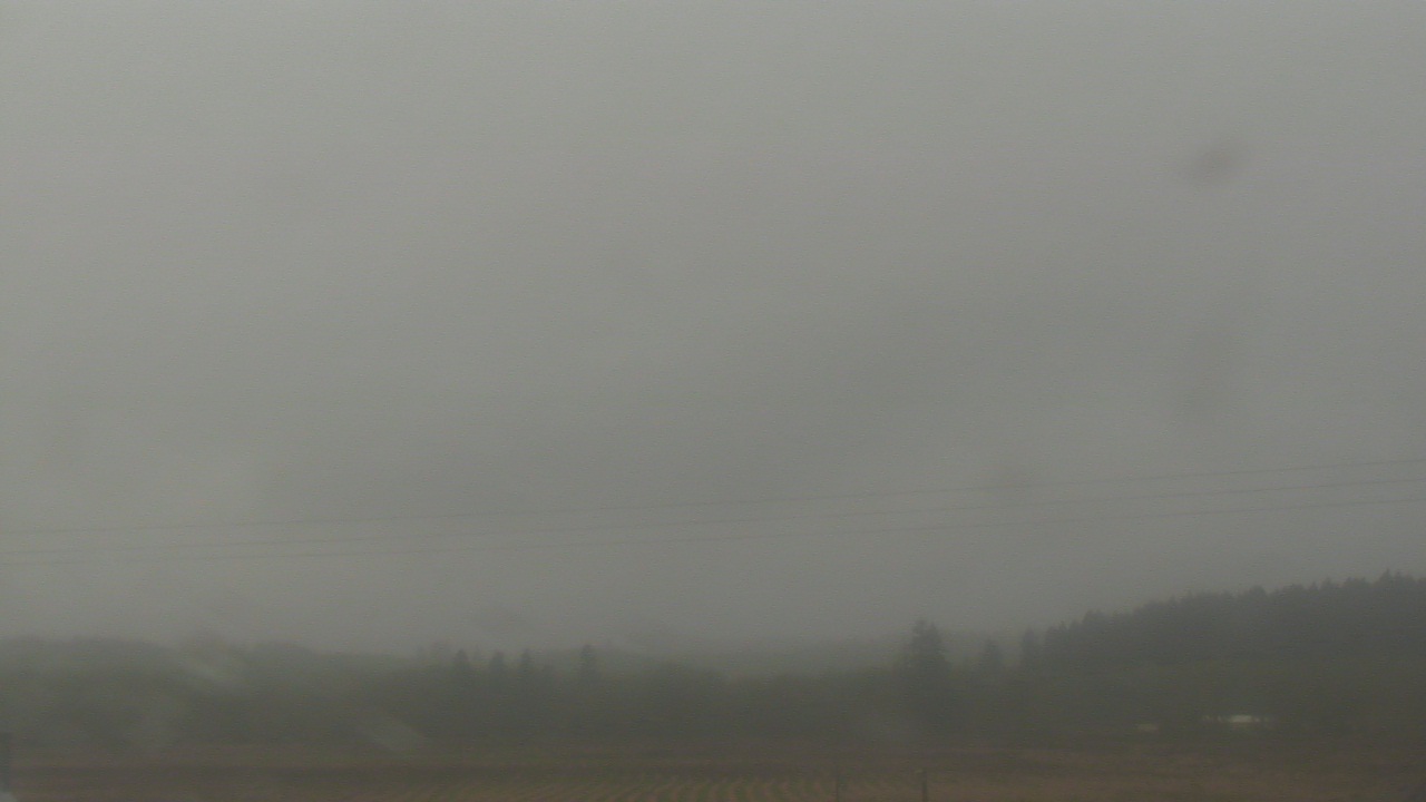 Thumbnail for current weather camera view from City of Banks Public Library in Banks, Oregon