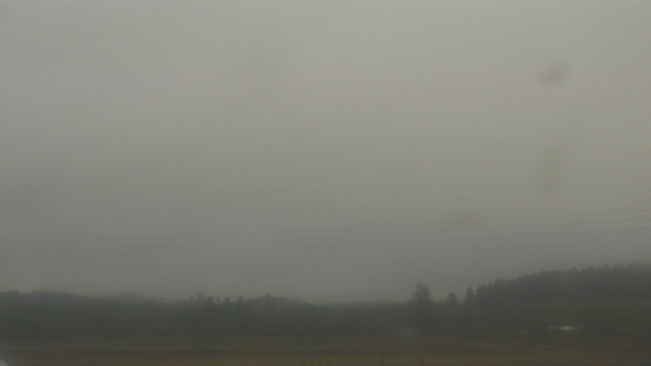 Thumbnail for current weather camera view from City of Banks Public Library in Banks, Oregon