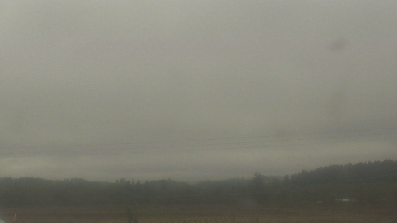 Thumbnail for current weather camera view from City of Banks Public Library in Banks, Oregon