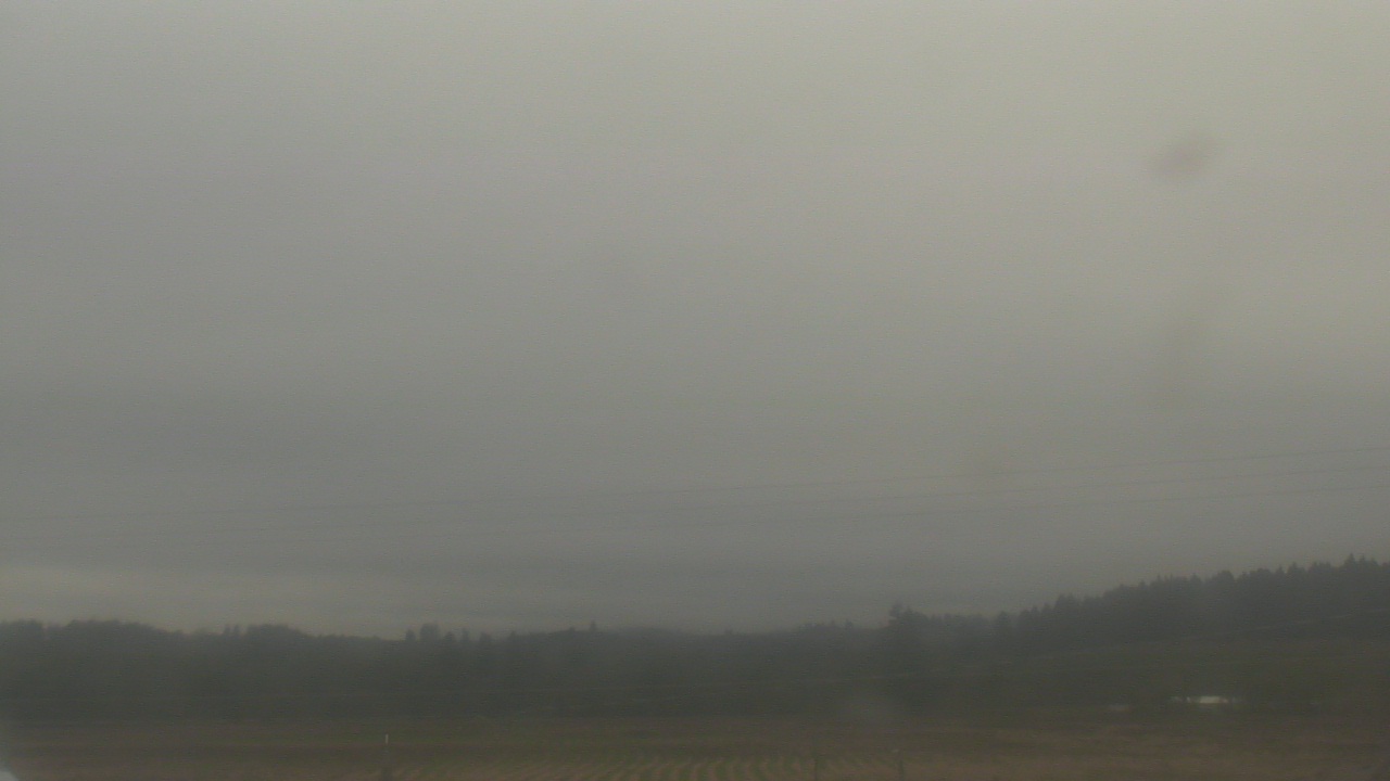 Thumbnail for current weather camera view from City of Banks Public Library in Banks, Oregon