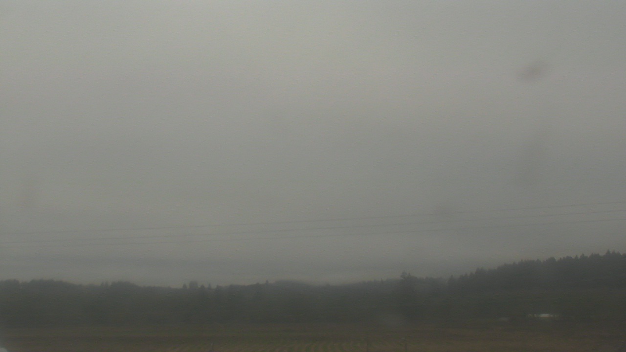 Thumbnail for current weather camera view from City of Banks Public Library in Banks, Oregon