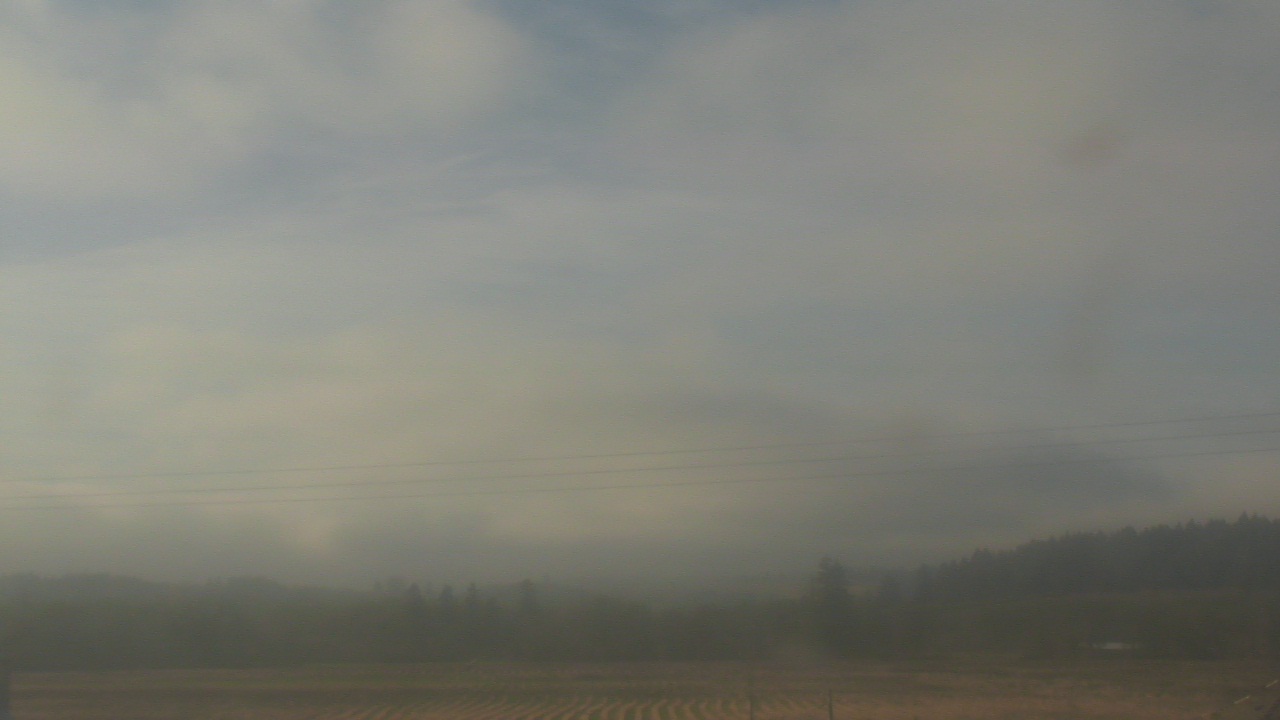 Thumbnail for current weather camera view from City of Banks Public Library in Banks, Oregon