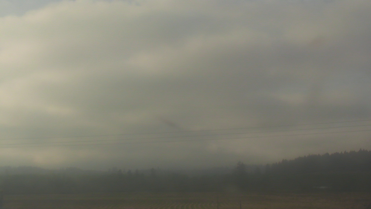 Thumbnail for current weather camera view from City of Banks Public Library in Banks, Oregon