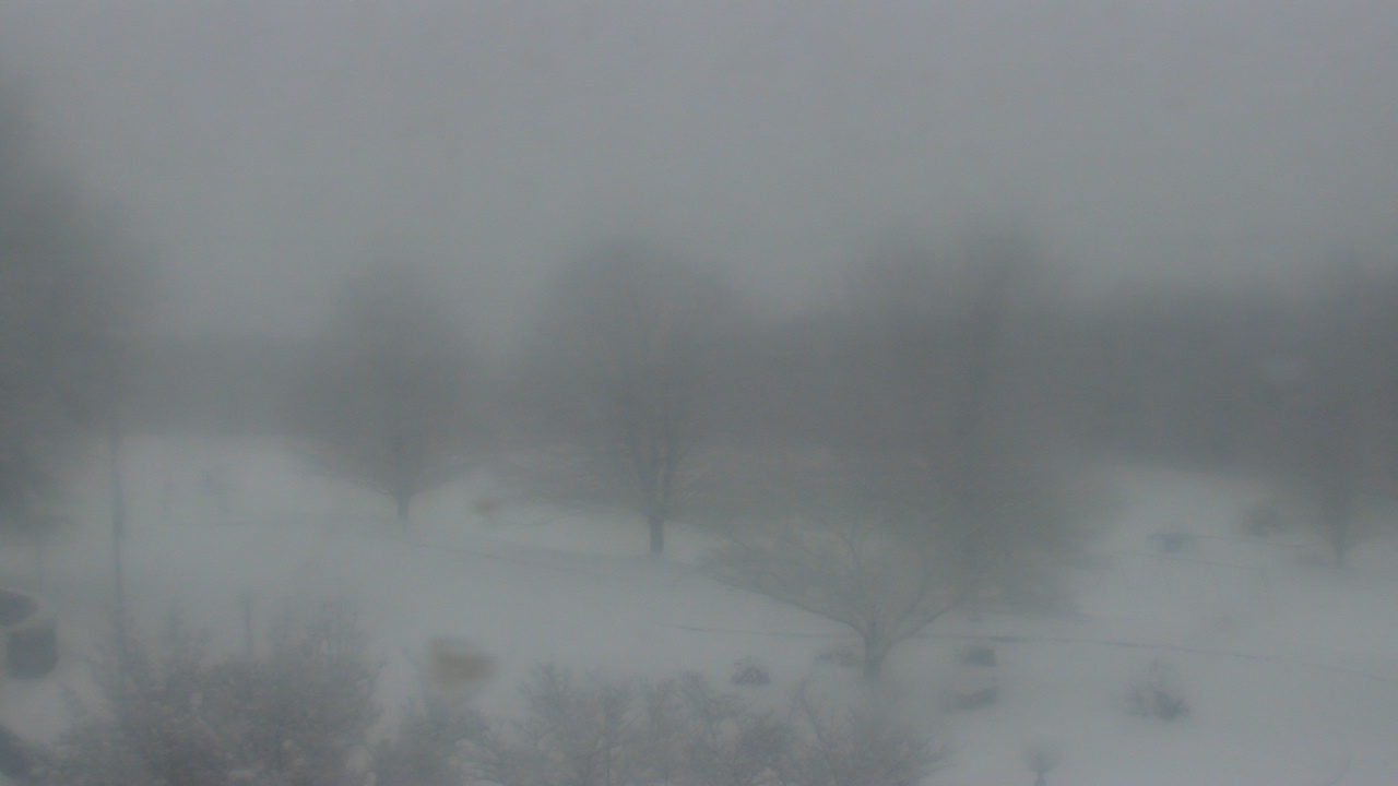 Thumbnail for current weather camera view from Big Island Elementary School in Big Island, Virginia