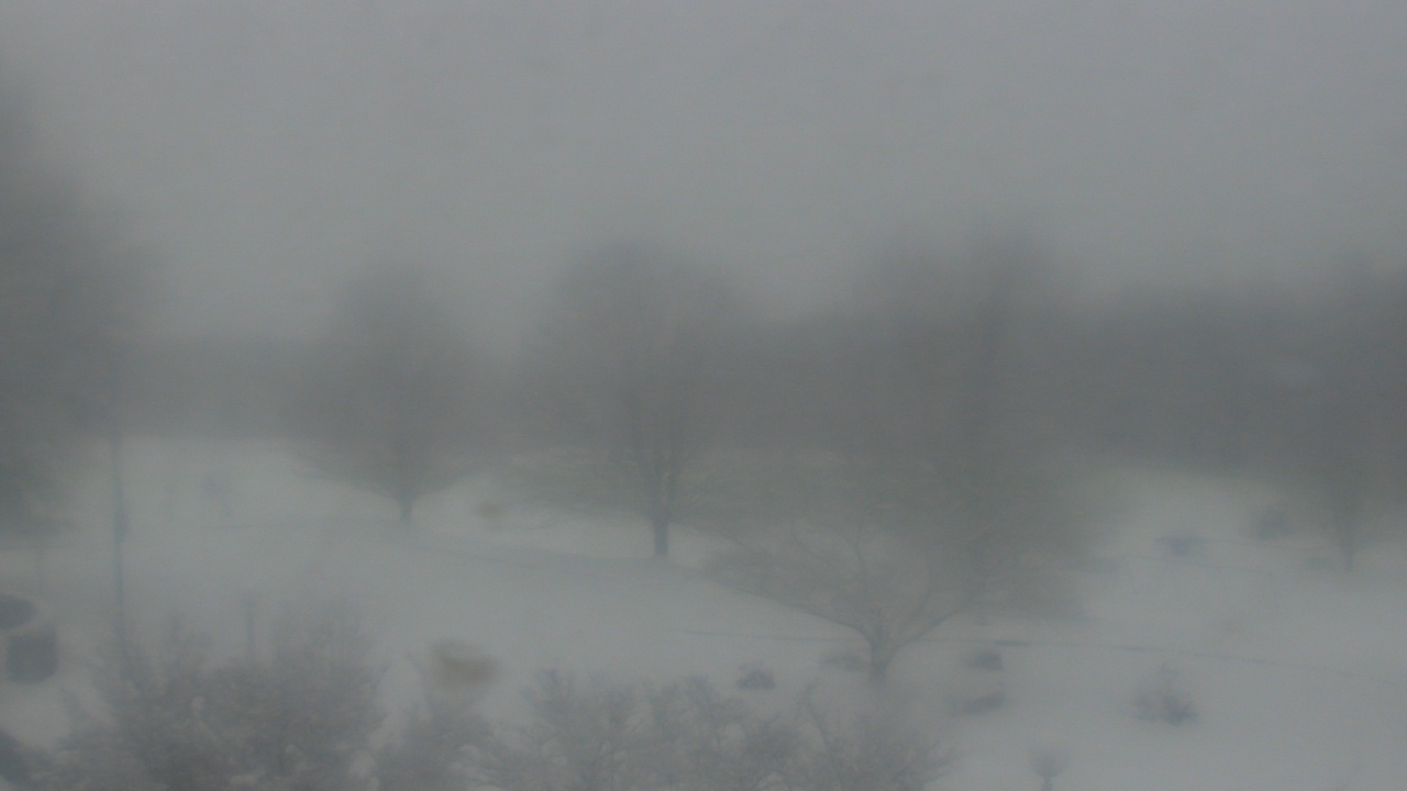 Thumbnail for current weather camera view from Big Island Elementary School in Big Island, Virginia