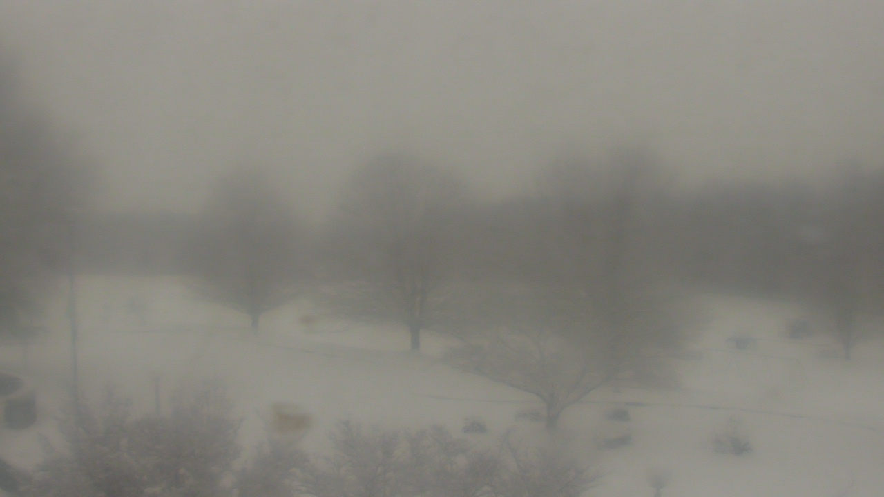 Thumbnail for current weather camera view from Big Island Elementary School in Big Island, Virginia