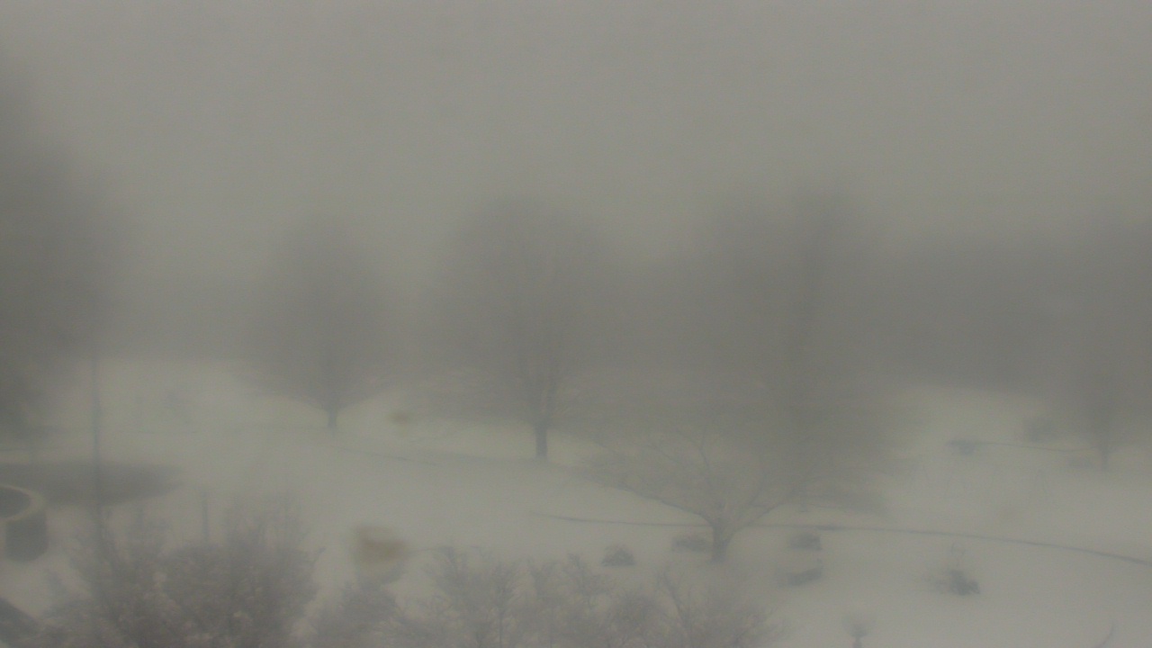 Thumbnail for current weather camera view from Big Island Elementary School in Big Island, Virginia