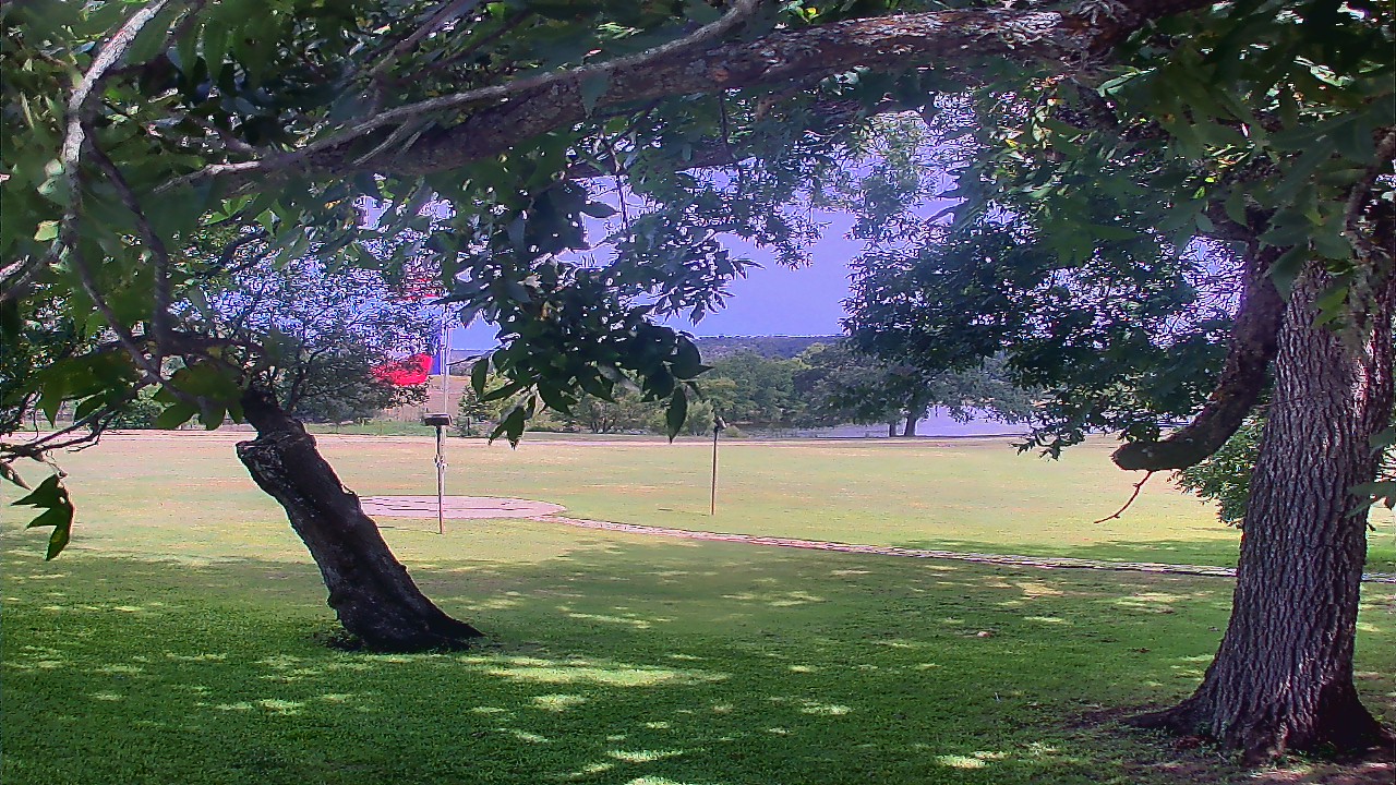 Thumbnail for current weather camera view from Camp Verde Ranch in Center Point, Texas