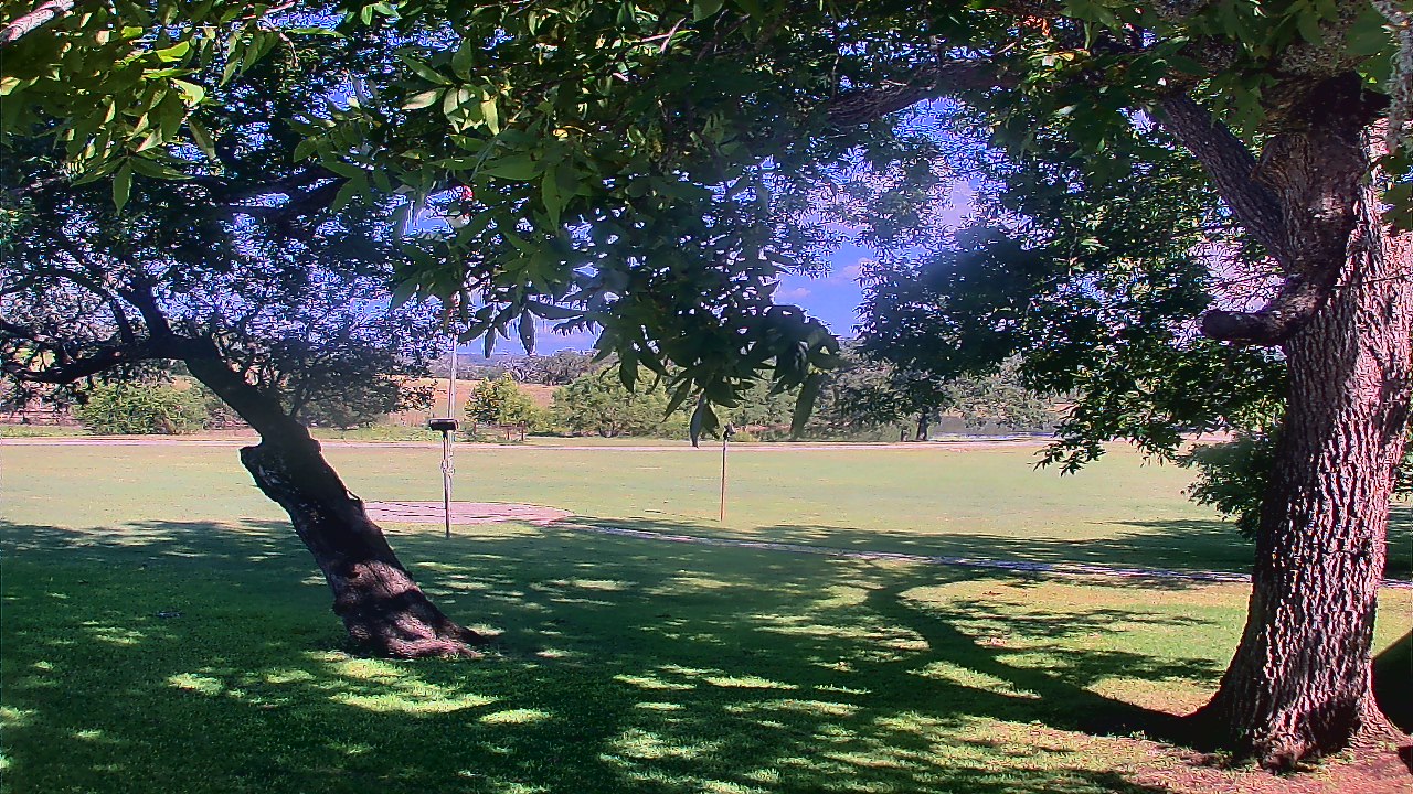 Thumbnail for current weather camera view from Camp Verde Ranch in Center Point, Texas