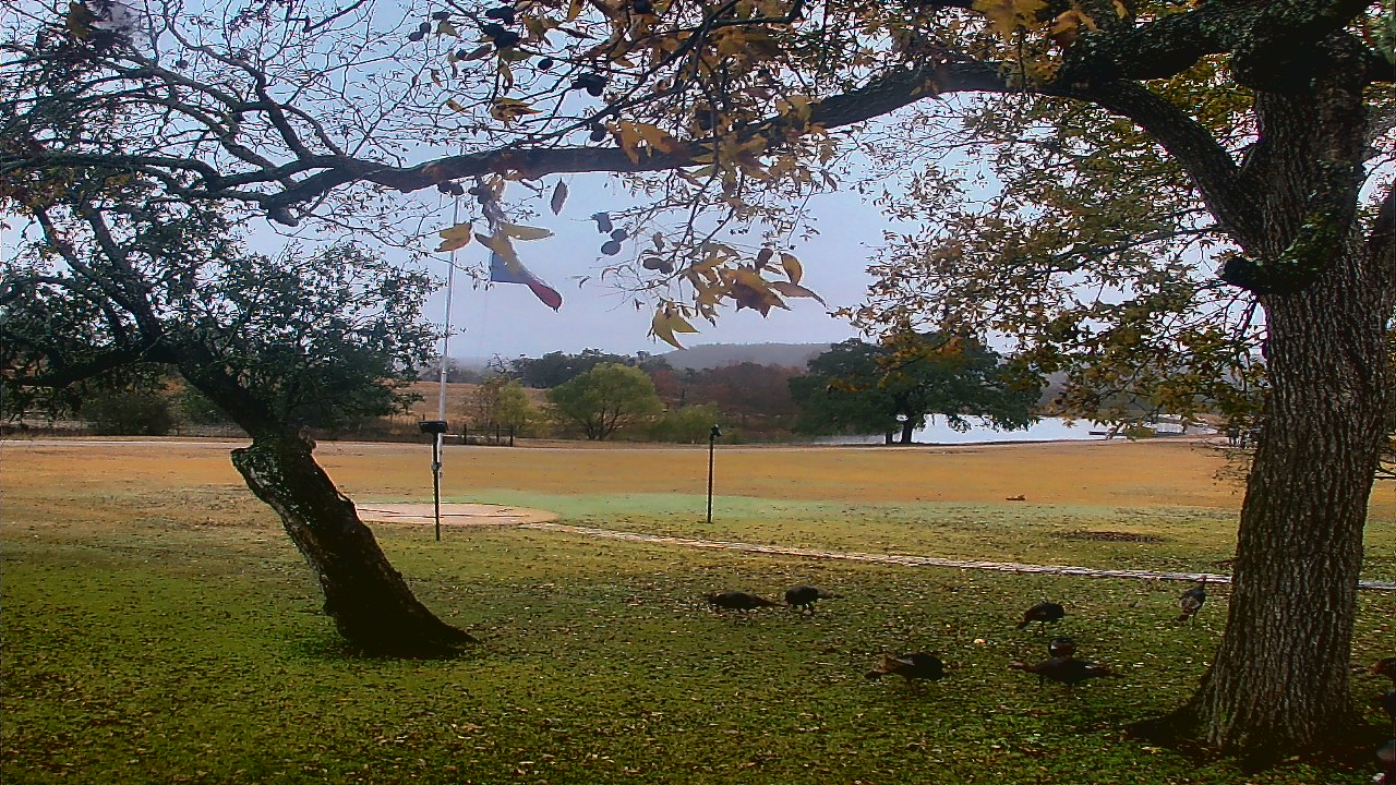 Thumbnail for current weather camera view from Camp Verde Ranch in Center Point, Texas