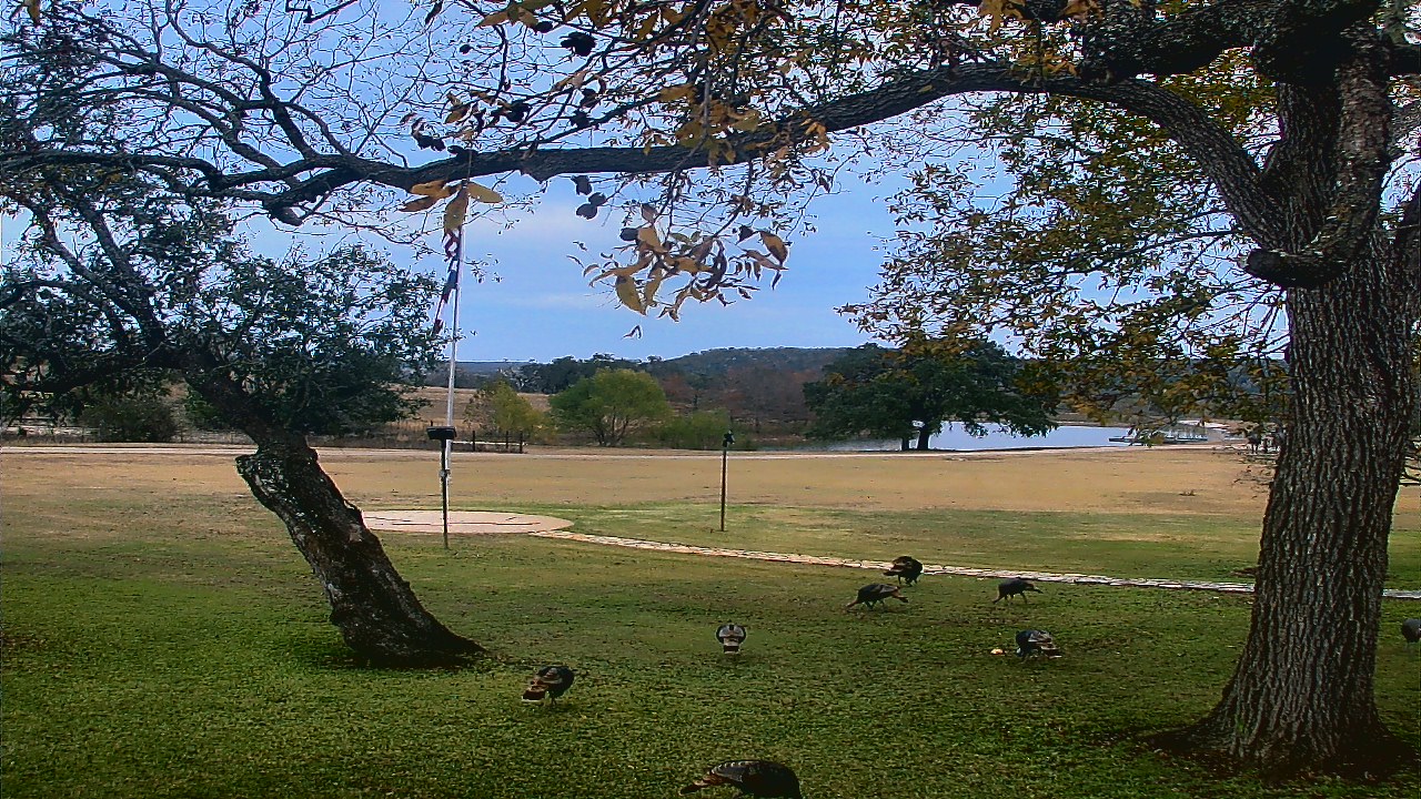 Thumbnail for current weather camera view from Camp Verde Ranch in Center Point, Texas
