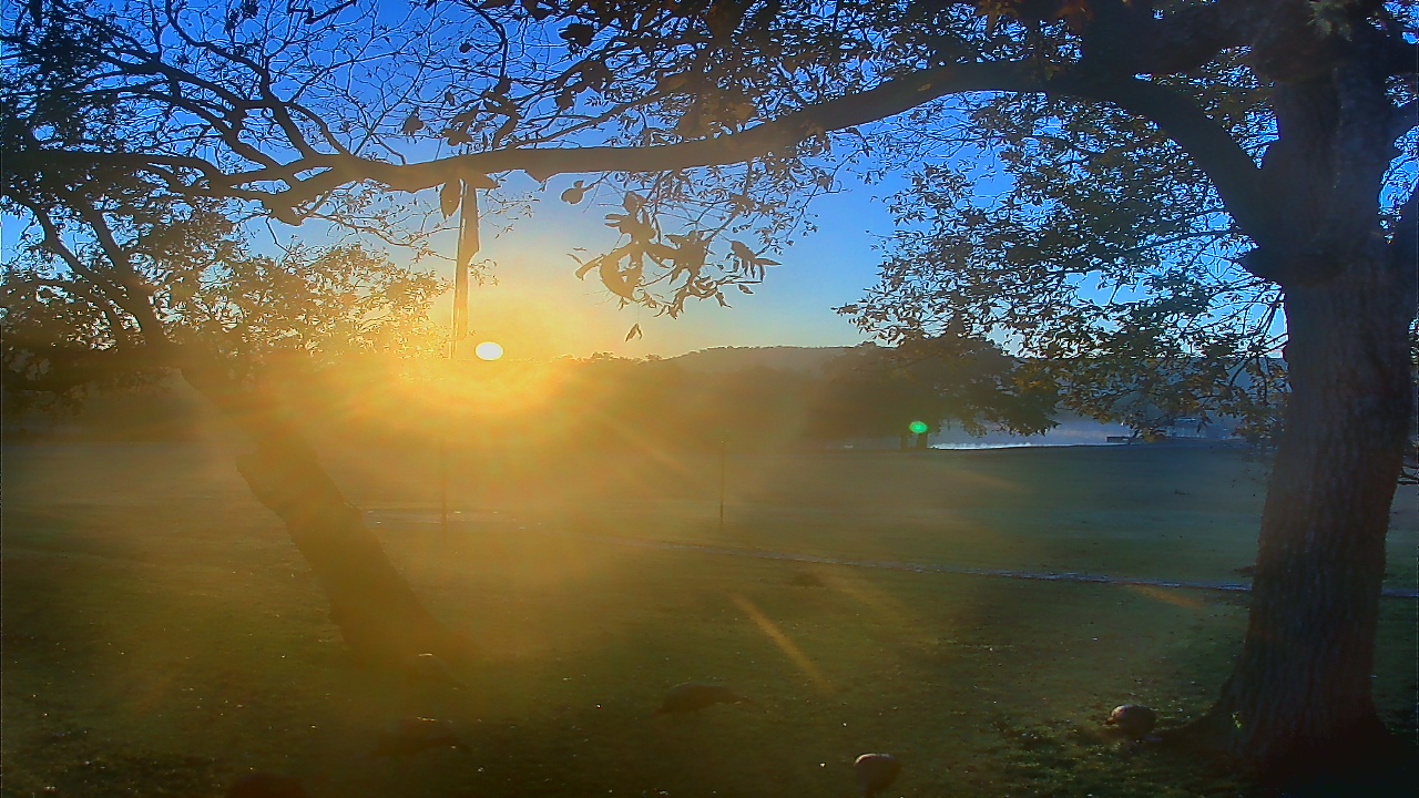Thumbnail for current weather camera view from Camp Verde Ranch in Center Point, Texas