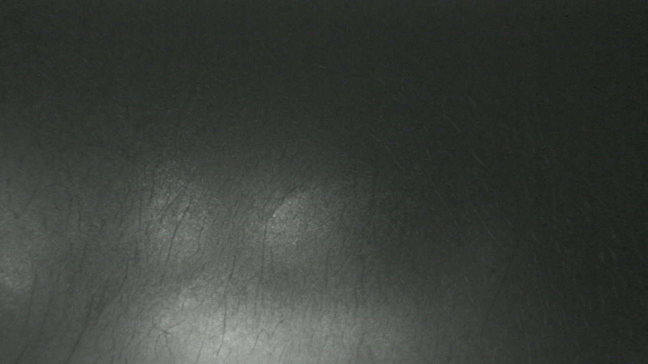 Thumbnail for current weather camera view from F L Templeton Preparatory Academy in Baltimore, Maryland