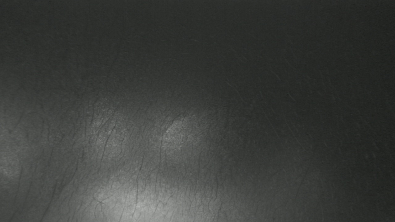 Thumbnail for current weather camera view from F L Templeton Preparatory Academy in Baltimore, Maryland