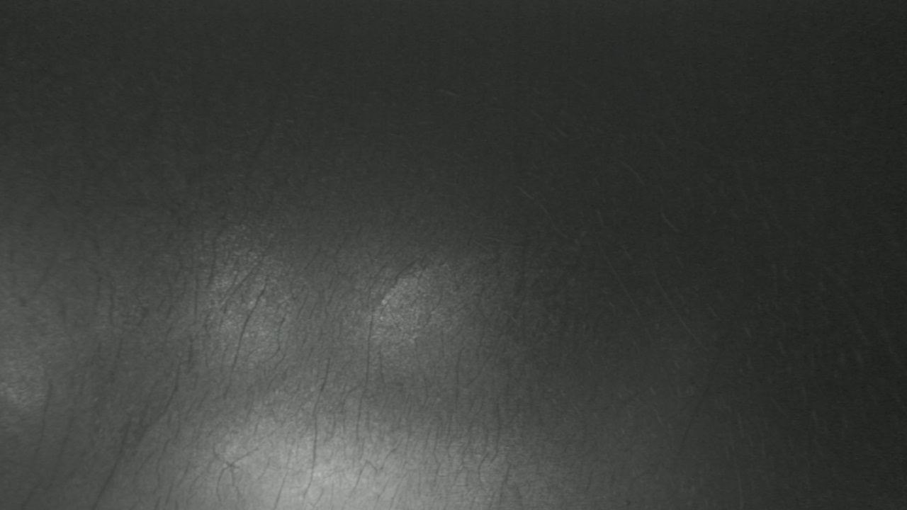 Thumbnail for current weather camera view from F L Templeton Preparatory Academy in Baltimore, Maryland