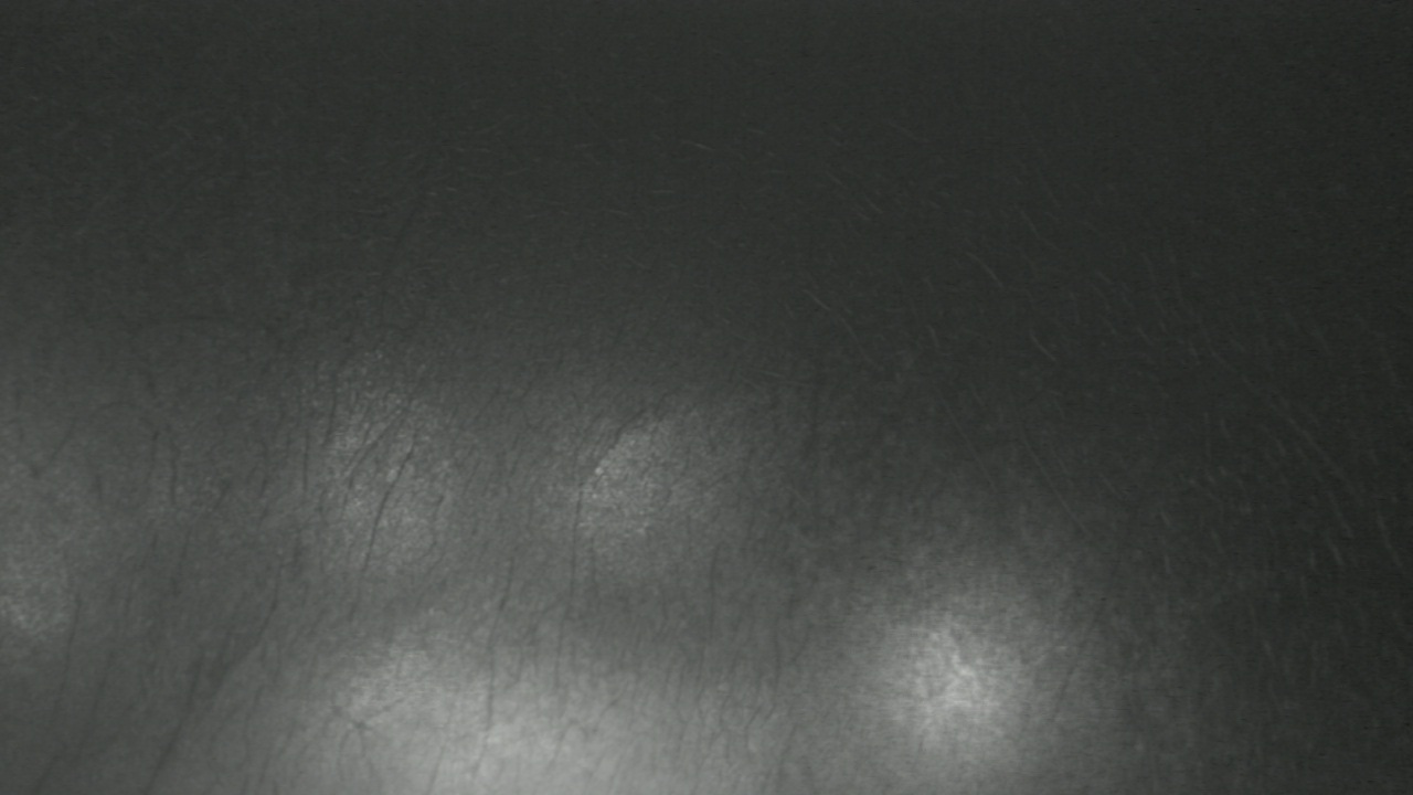 Thumbnail for current weather camera view from F L Templeton Preparatory Academy in Baltimore, Maryland