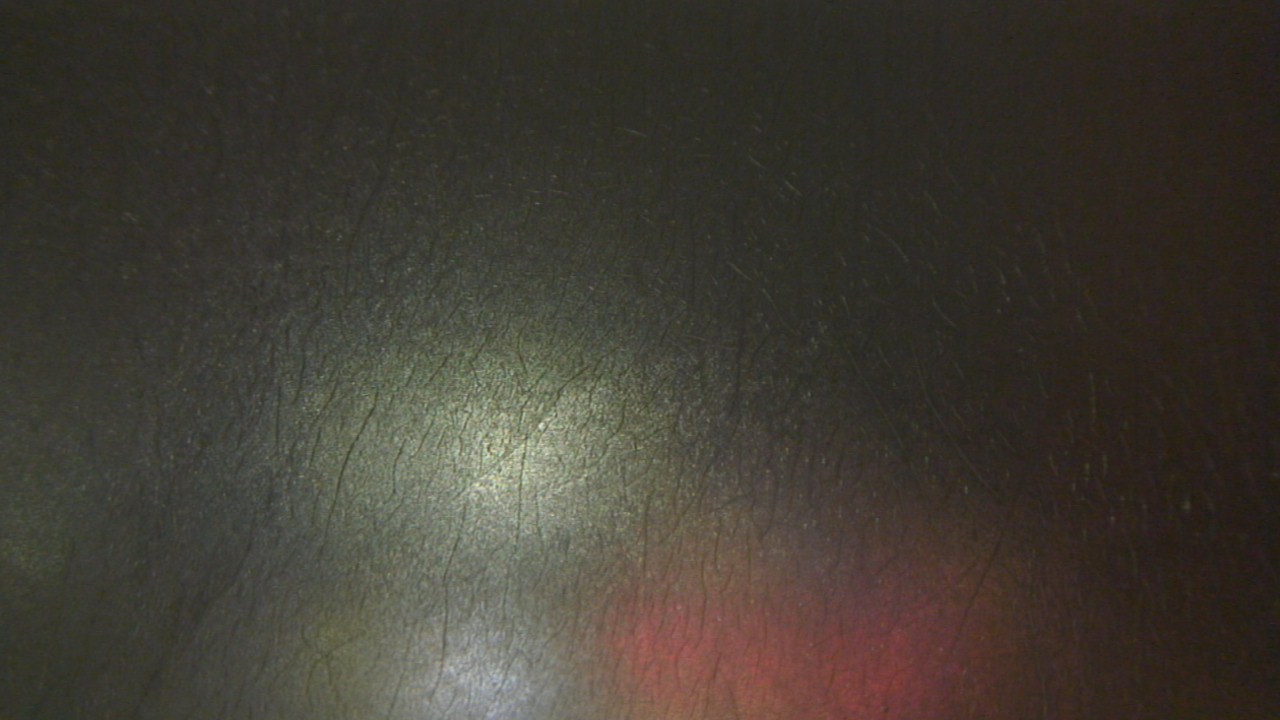 Thumbnail for current weather camera view from F L Templeton Preparatory Academy in Baltimore, Maryland