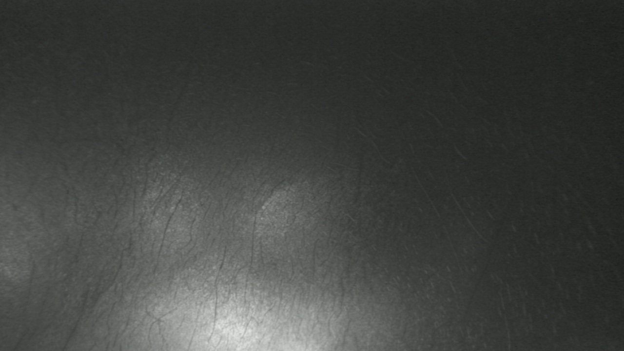 Thumbnail for current weather camera view from F L Templeton Preparatory Academy in Baltimore, Maryland