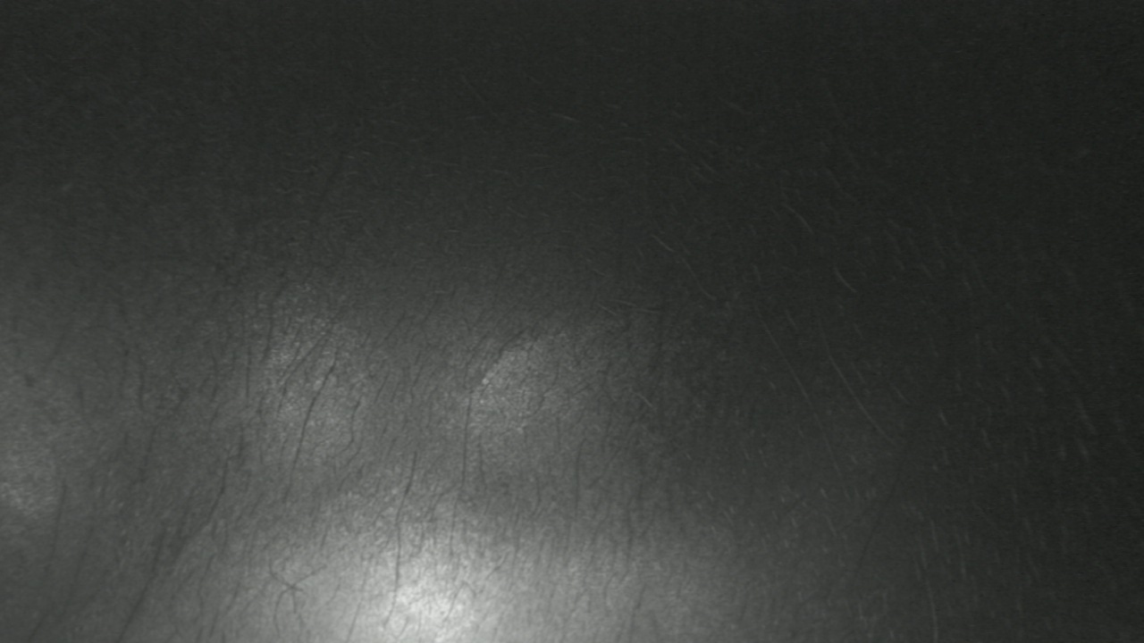 Thumbnail for current weather camera view from F L Templeton Preparatory Academy in Baltimore, Maryland