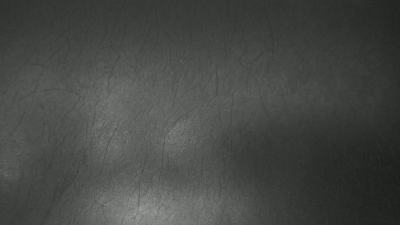 Thumbnail for current weather camera view from F L Templeton Preparatory Academy in Baltimore, Maryland