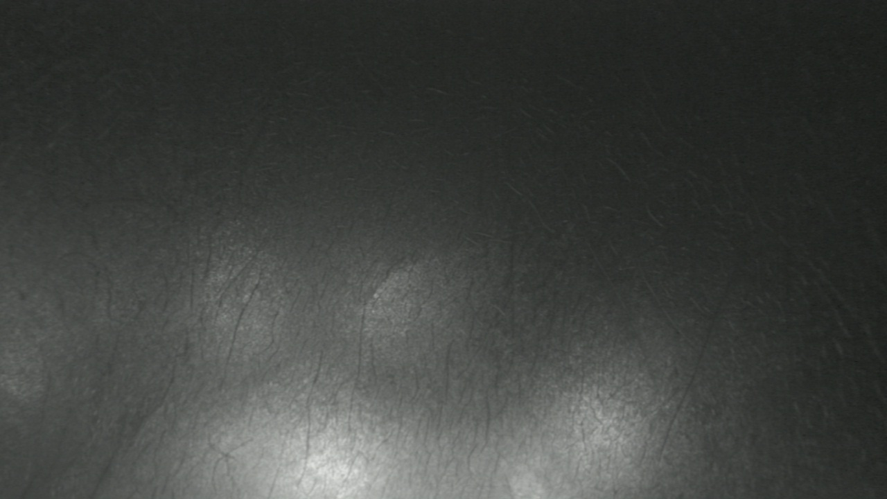 Thumbnail for current weather camera view from F L Templeton Preparatory Academy in Baltimore, Maryland