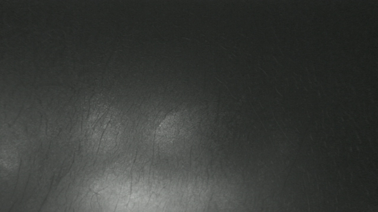 Thumbnail for current weather camera view from F L Templeton Preparatory Academy in Baltimore, Maryland