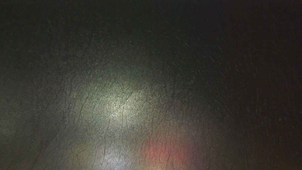 Thumbnail for current weather camera view from F L Templeton Preparatory Academy in Baltimore, Maryland