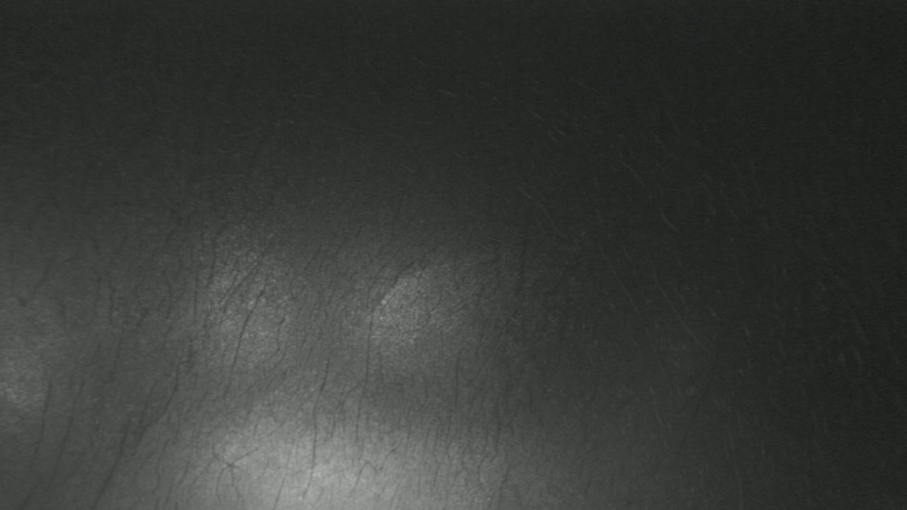 Thumbnail for current weather camera view from F L Templeton Preparatory Academy in Baltimore, Maryland