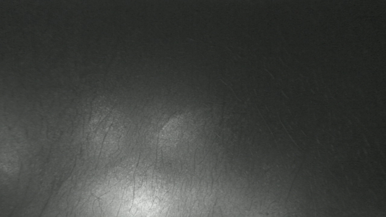 Thumbnail for current weather camera view from F L Templeton Preparatory Academy in Baltimore, Maryland