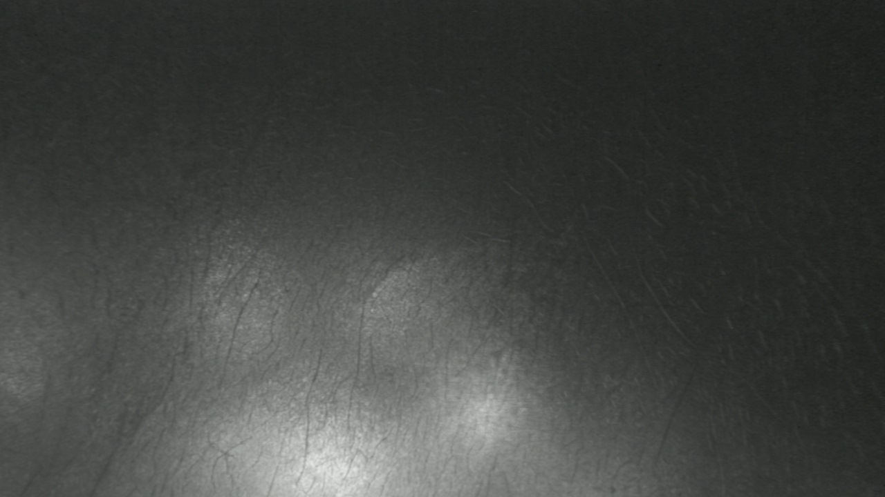 Thumbnail for current weather camera view from F L Templeton Preparatory Academy in Baltimore, Maryland