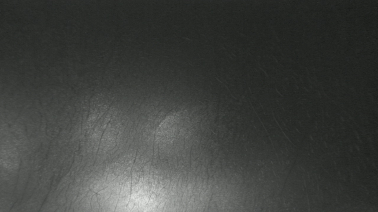 Thumbnail for current weather camera view from F L Templeton Preparatory Academy in Baltimore, Maryland