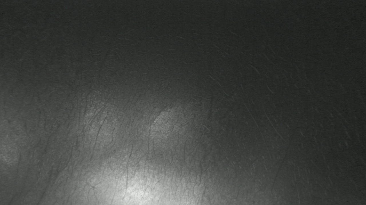 Thumbnail for current weather camera view from F L Templeton Preparatory Academy in Baltimore, Maryland