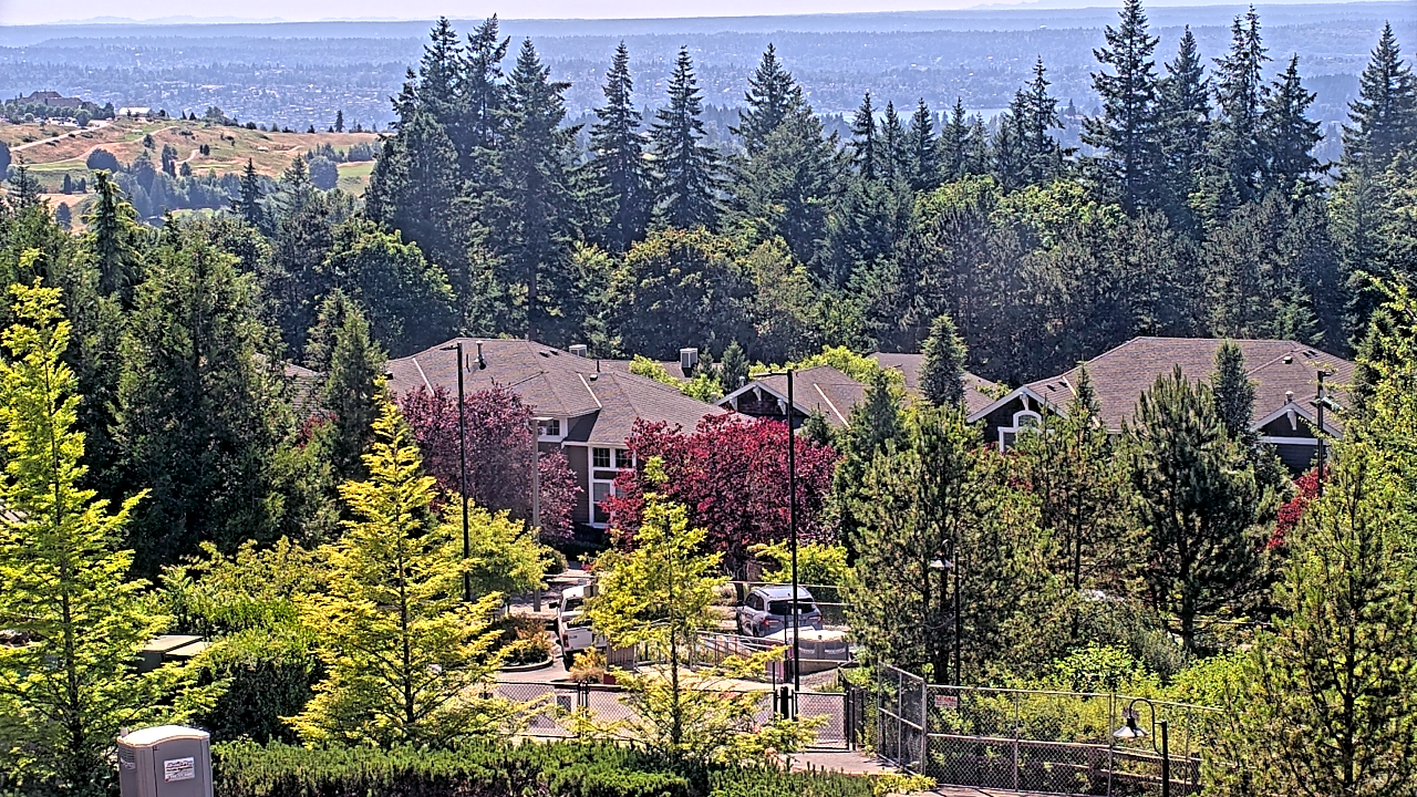 Thumbnail for current weather camera view from Open Window School 1200 ft elev Cougar Mtn in Bellevue, Washington