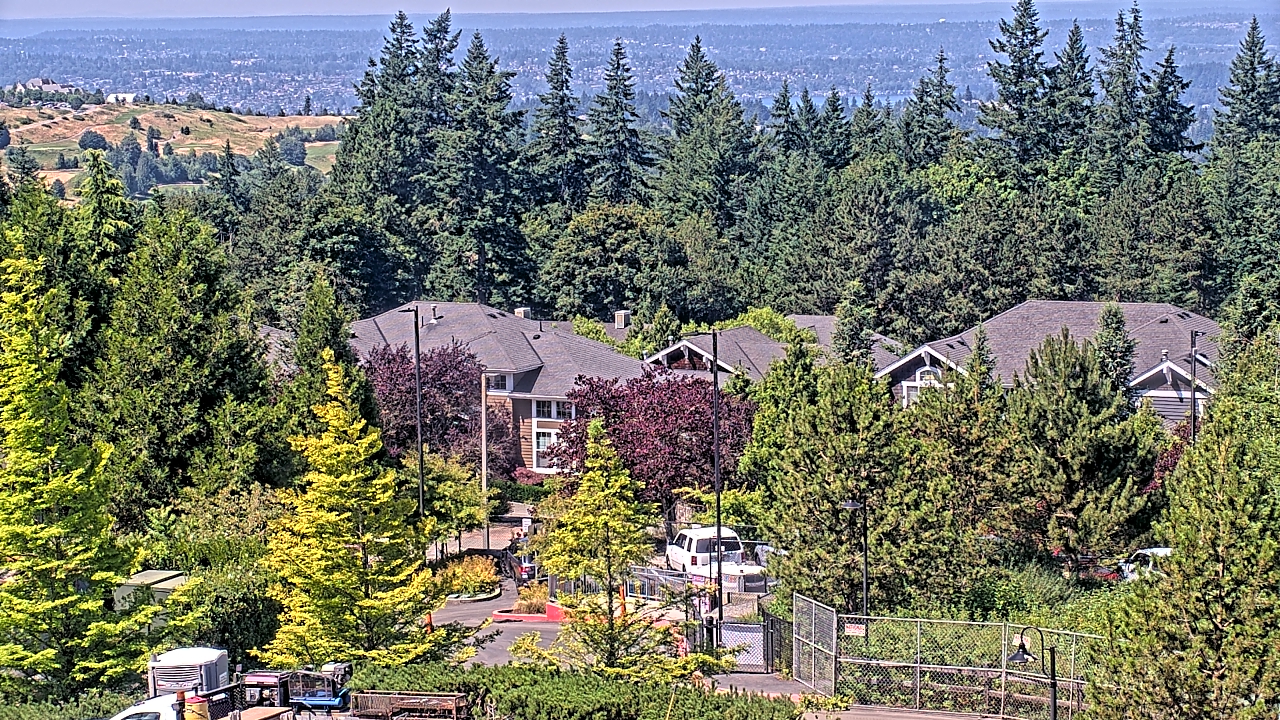 Thumbnail for current weather camera view from Open Window School 1200 ft elev Cougar Mtn in Bellevue, Washington