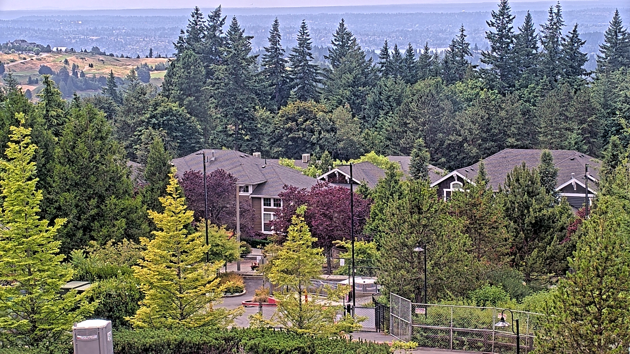 Thumbnail for current weather camera view from Open Window School 1200 ft elev Cougar Mtn in Bellevue, Washington