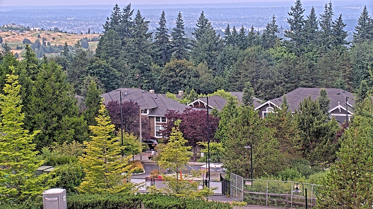 Thumbnail for current weather camera view from Open Window School 1200 ft elev Cougar Mtn in Bellevue, Washington