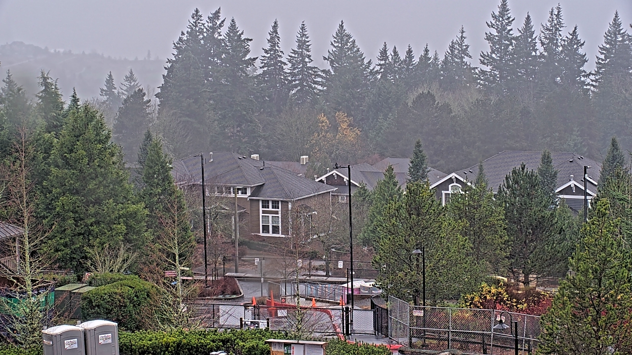 Thumbnail for current weather camera view from Open Window School 1200 ft elev Cougar Mtn in Bellevue, Washington