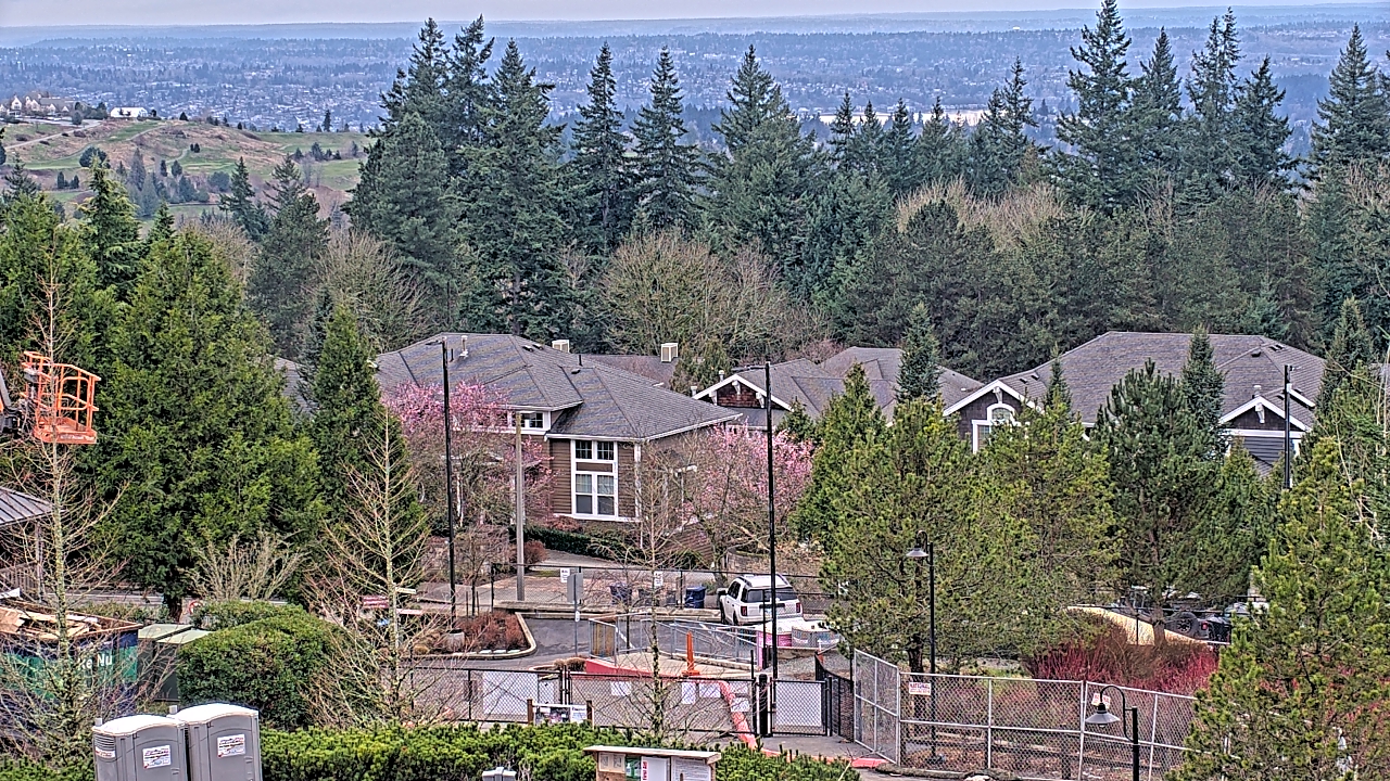 Thumbnail for current weather camera view from Open Window School 1200 ft elev Cougar Mtn in Bellevue, Washington