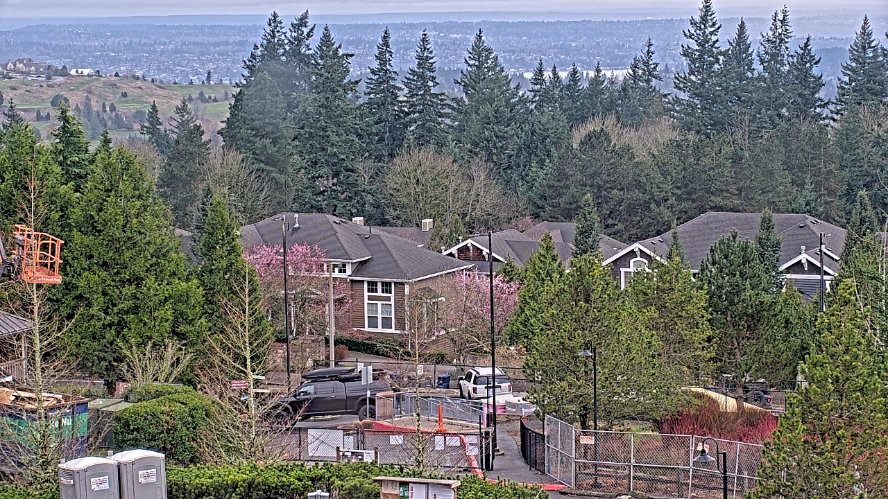 Thumbnail for current weather camera view from Open Window School 1200 ft elev Cougar Mtn in Bellevue, Washington