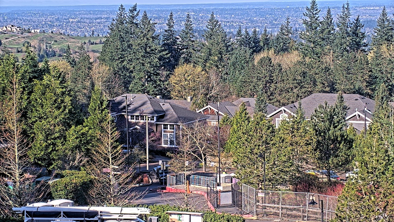 Thumbnail for current weather camera view from Open Window School 1200 ft elev Cougar Mtn in Bellevue, Washington