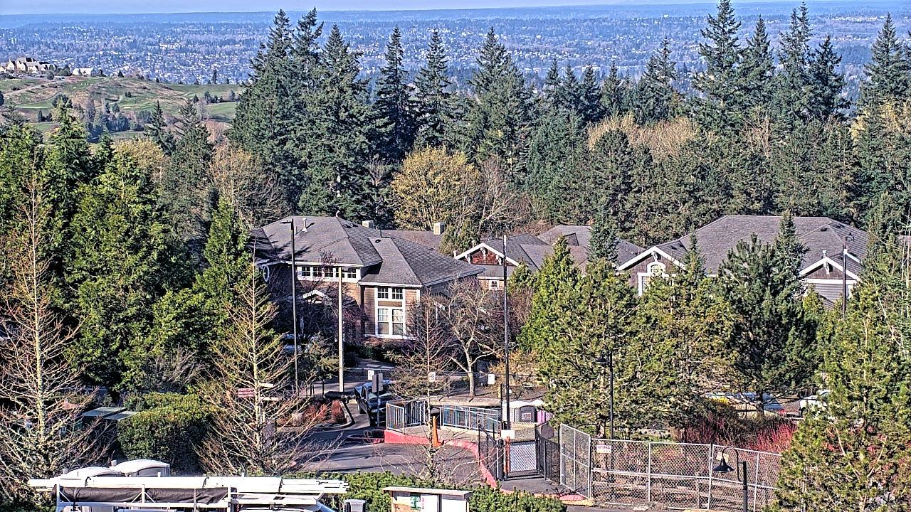 Thumbnail for current weather camera view from Open Window School 1200 ft elev Cougar Mtn in Bellevue, Washington