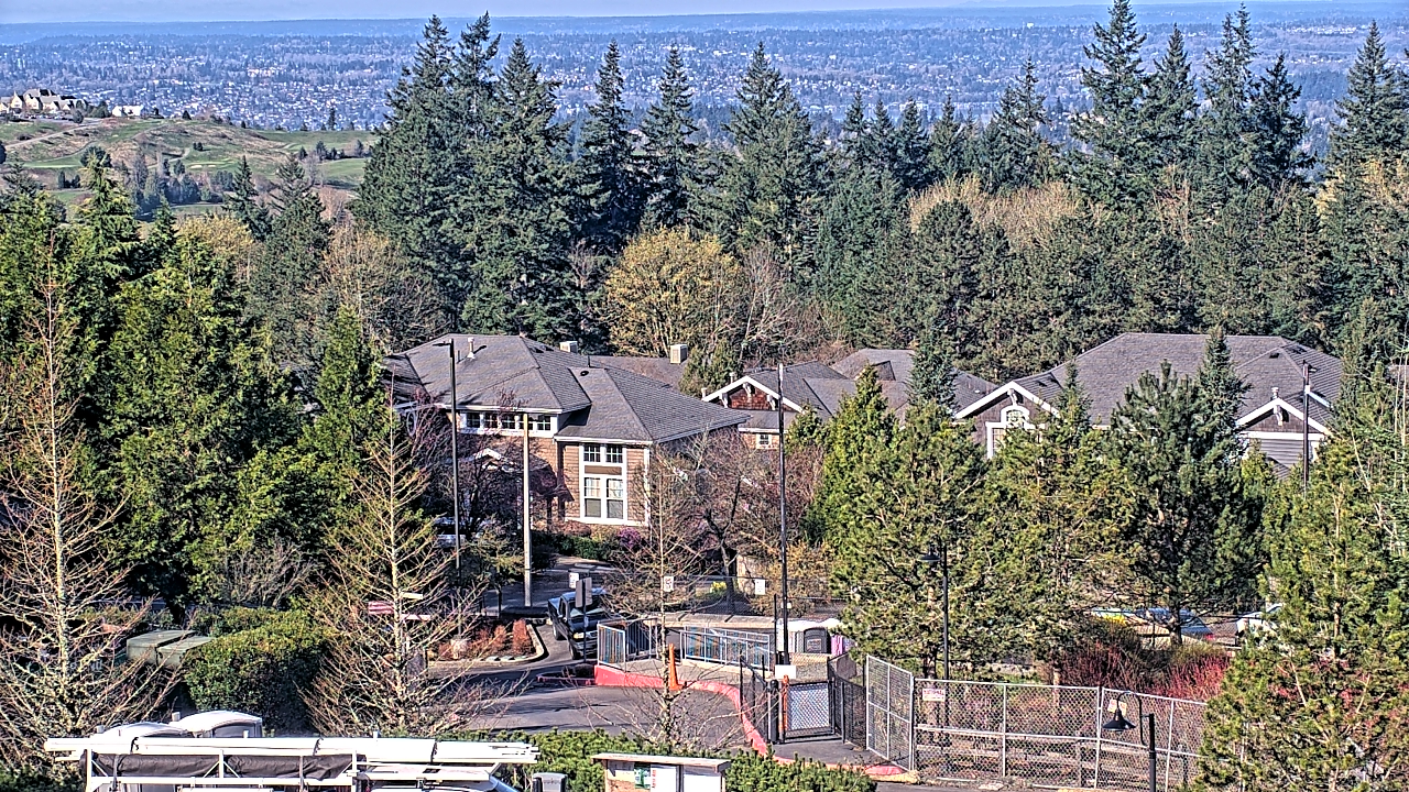 Thumbnail for current weather camera view from Open Window School 1200 ft elev Cougar Mtn in Bellevue, Washington