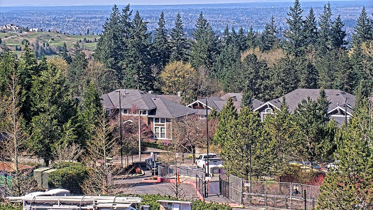 Thumbnail for current weather camera view from Open Window School 1200 ft elev Cougar Mtn in Bellevue, Washington