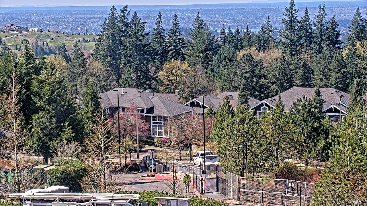 Thumbnail for current weather camera view from Open Window School 1200 ft elev Cougar Mtn in Bellevue, Washington