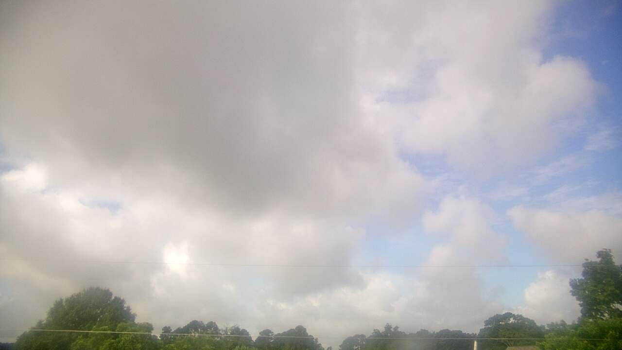 Thumbnail for current weather camera view from Benson NC in Benson, North Carolina