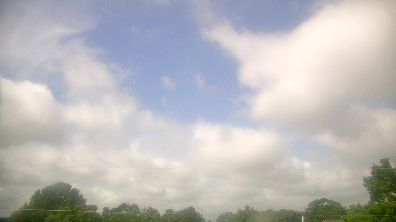 Thumbnail for current weather camera view from Benson NC in Benson, North Carolina