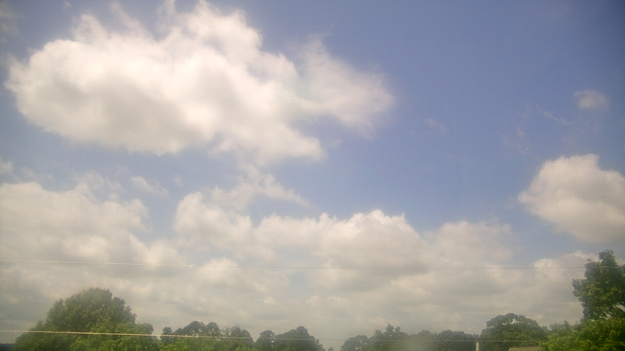 Thumbnail for current weather camera view from Benson NC in Benson, North Carolina